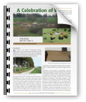 a-celebration-of-wood