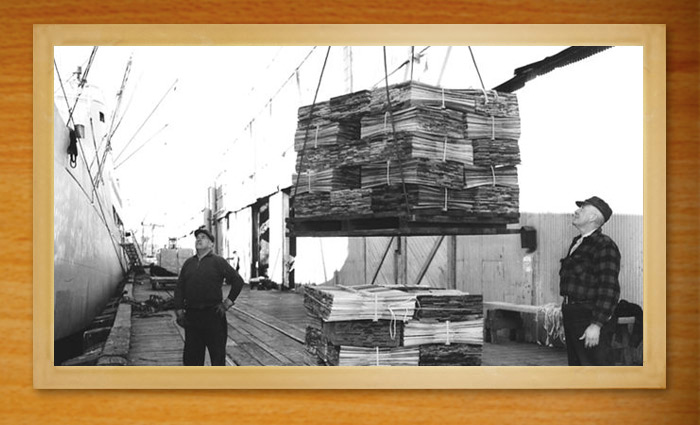 Loading cedar product at the ship dock.